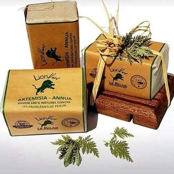 Profile Picture of Jean GOMIS (@JeanGOM26013888) on Twitter