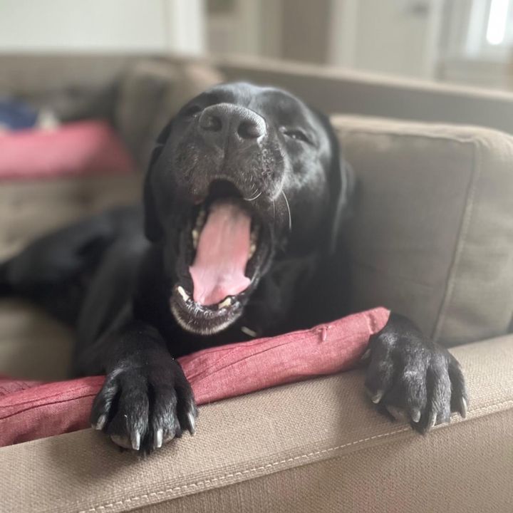 Profile Picture of Sam (@samuelsharkz) on Tiktok