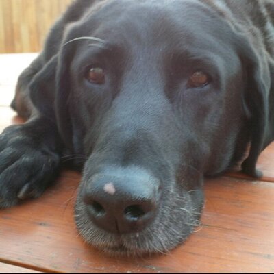 Profile Picture of Doug Carey (@carey_doug) on Twitter