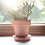 Profile Picture of m.anne.stacy (@michaelaas) on Flickr