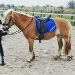 Profile Picture of daniëlle_iris (@danielle_iris_) on Instagram