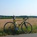 Profile Picture of Thomas Auerochs (@auerochs0555) on Pinterest
