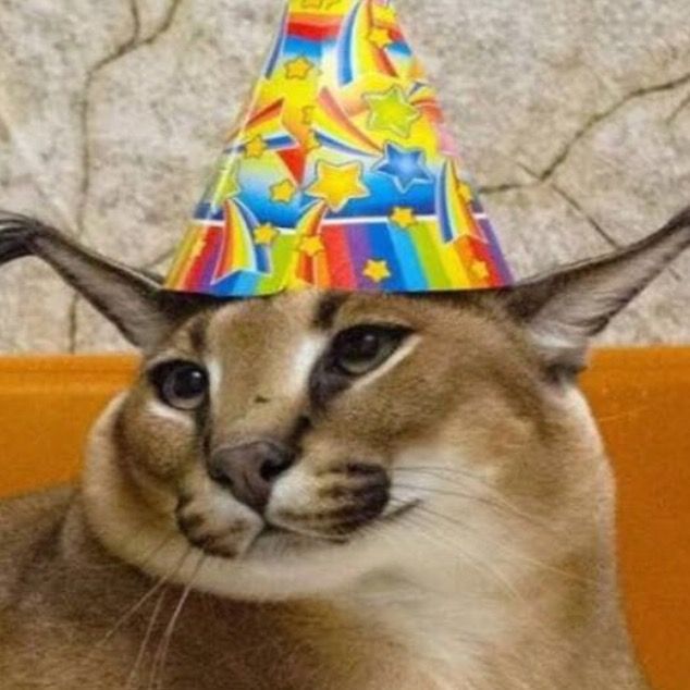 Profile Picture of David Evans (@d4v1devans) on Tiktok