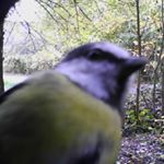 Profile Picture of clint eastcastle (@clinteastcastle) on Instagram