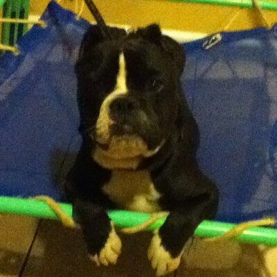 Profile Picture of noah pichardo (@lmfaokid1) on Twitter