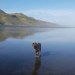 Mike Christianson - Instagram Profile Picture of Mike Christianson (@mike.christianson) on Instagram