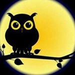 Profile Picture of Wendy Plummer (@plumbago63) on Instagram