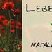 Profile Picture of LebensArt Natalie Schmölz (@lebensart.natalieschmolz) on Facebook