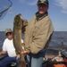 Profile Picture of Dawn Freese (@dawnfreese) on Pinterest