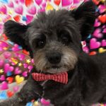 Profile Picture of Bruce Wayne Bertoldi (@brucewbertoldi) on Instagram