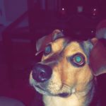 Profile Picture of RockyCordova (@rocky_cordova1) on Instagram
