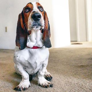 Profile Picture of Stephanie Kirkpatrick (@stephanie.kirkpatrick.7965692) on Facebook