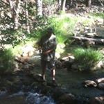 Profile Picture of Jeremy (@jeremymikus) on Instagram