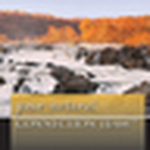 Profile Picture of Kevin Canto (@kevcanto) on Flickr