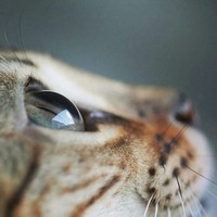 Profile Picture of Kelly Kuhn (@kelly-kuhn-14) on Quora