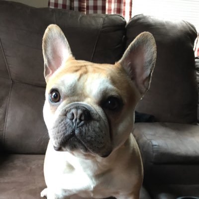 Profile Picture of Karen Haskell (@khask4) on Twitter