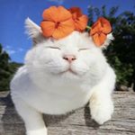 Profile Picture of paula.thomsonnn (@paula.thomsonnn) on Instagram