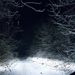 Profile Picture of MarkandTanya Shoemaker (@markandtanya) on Pinterest