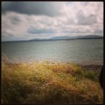 Profile Picture of Wise Herbert (@upforrocksracing) on Instagram