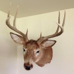 Profile Picture of Bruce Tackman (@bruce.tackman.1) on Facebook