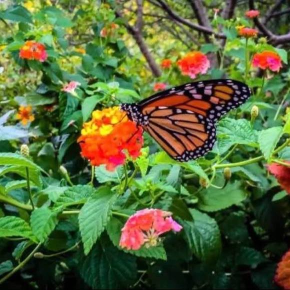 Profile Picture of Jhen Jhen (@yumjhen) on Poshmark