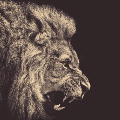 Profile Picture of Tony Hamann (@Hamann94) on Twitter