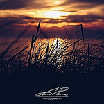 Profile Picture of Amir Ramic (@amirramic) on Flickr