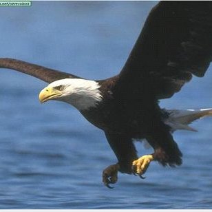 Profile Picture of David Fdez Moraga (@13_luisen) on Twitter