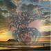 Profile Picture of Jimmy Uhl (@simpert.uhl.3) on Facebook