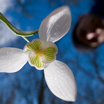 Profile Picture of Gibbom (@gibbom) on Flickr