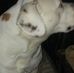 Profile Picture of Lynette Boyer (@lynette.boyer.75) on Facebook
