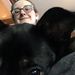 Profile Picture of Tory Schultz (@tbartist) on Pinterest