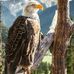 Profile Picture of Larry Anstee (@larry.anstee.3) on Facebook