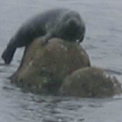 Profile Picture of Jeremy Geist (@jpgeist) on Twitter