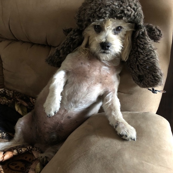 Profile Picture of Matthew Crane (@craneplumbing) on Poshmark