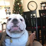 Profile Picture of Shawn Pennington (@pennington9513) on Instagram
