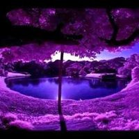 Profile Picture of Violeta Savic (@violeta-savic) on Quora