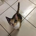 Profile Picture of Eileen Lambert (@eilelew) on Instagram