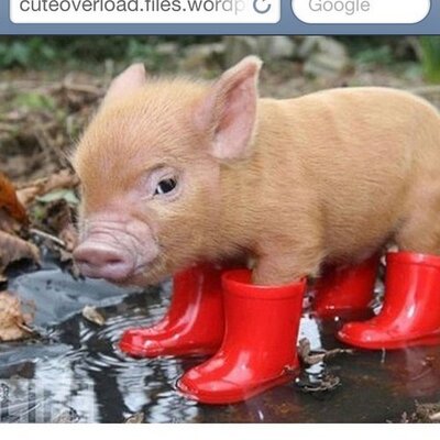 Grant Kuhlmann - Twitter Profile Picture of Grant Kuhlmann (@KuhlmannGrant) on Twitter