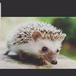 Profile Picture of alexandra spitzer (@alex_hxo123) on Instagram