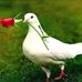 Profile Picture of Fadumo Omar (@fadumo.omar.92351) on Facebook