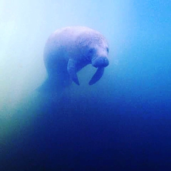 Profile Picture of Kyle Kennedy (@18kylekennedy) on Poshmark