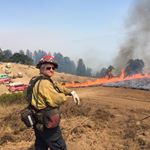 Profile Picture of David Ferdig (@dave_ferdig) on Instagram