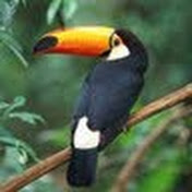 Profile Picture of Connor Dunham (@connordunham3831) on Youtube