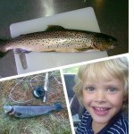 Profile Picture of Alexander (@alexander_fisk) on Instagram