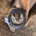 Profile Picture of Trevor Banister (@trevor.banister.3) on Facebook