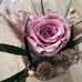 Profile Picture of Louise Berthoud (@Louise-Berthoud) on Facebook