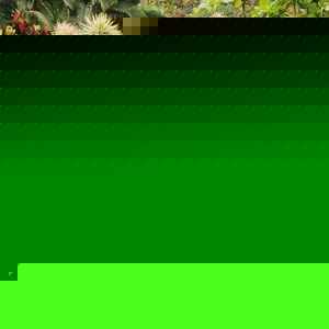 Profile Picture of Chenhui Lin (@347503996) on Myspace