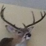 Profile Picture of Hayden Pearce (@hayden.pearce.969) on Instagram