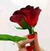 Profile Picture of Venkatesh Ram (@venkatesh.ram.3538) on Facebook